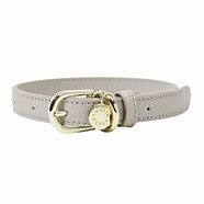 Dog Collar