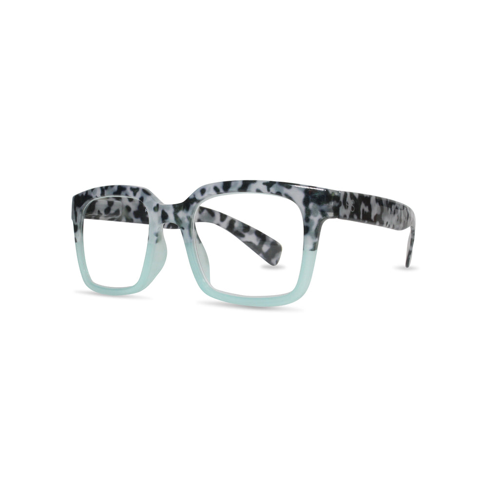 READER GLASSES