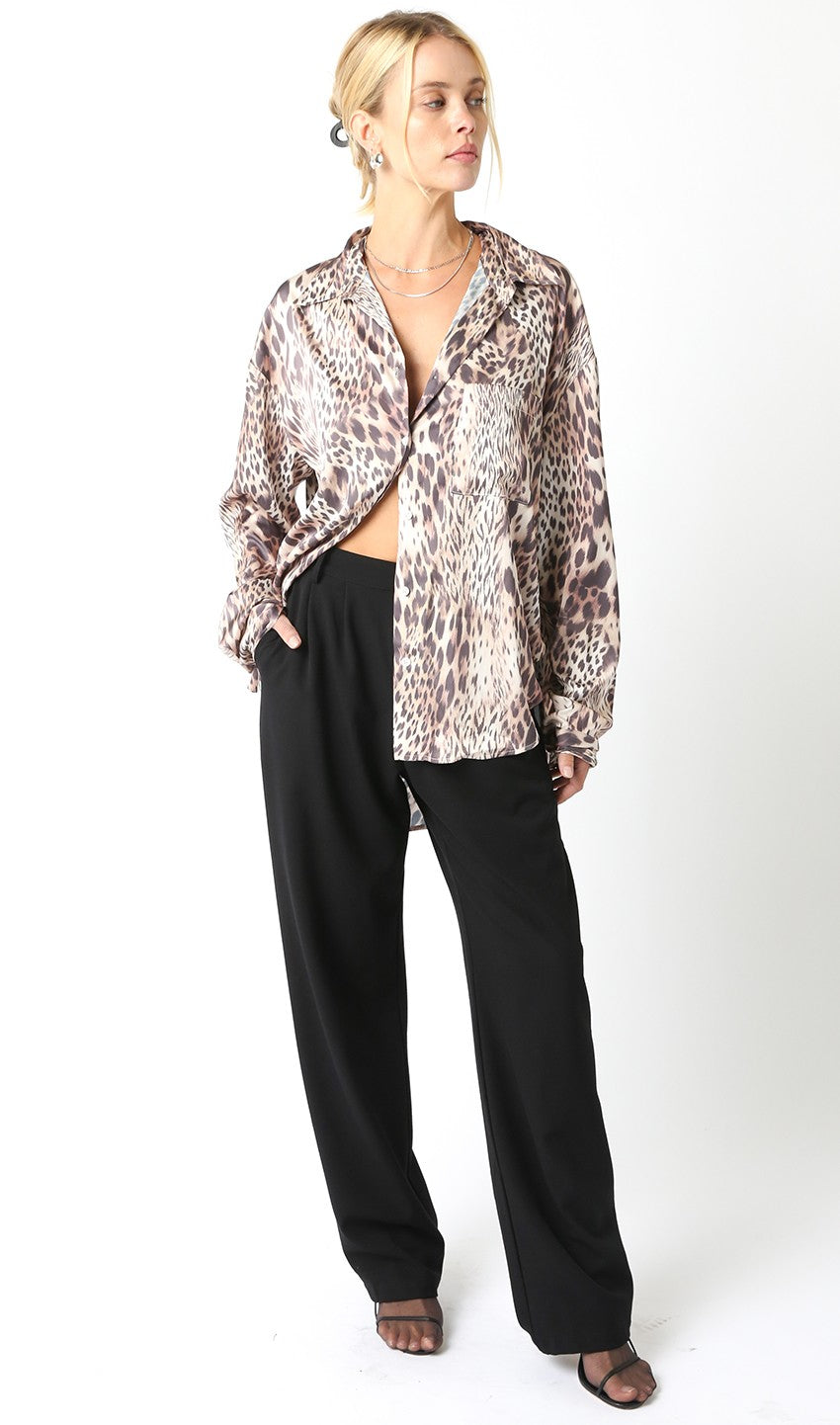 TOP LEOPARD