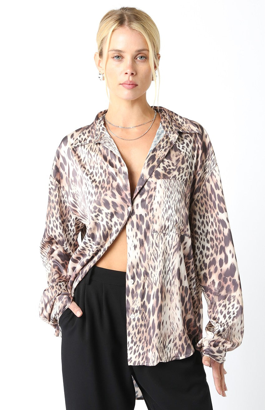 TOP LEOPARD